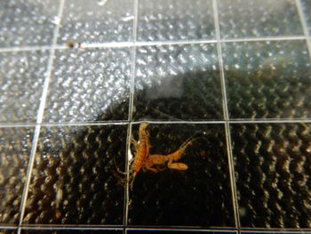 Media type: image;   Invertebrate Zoology 139664